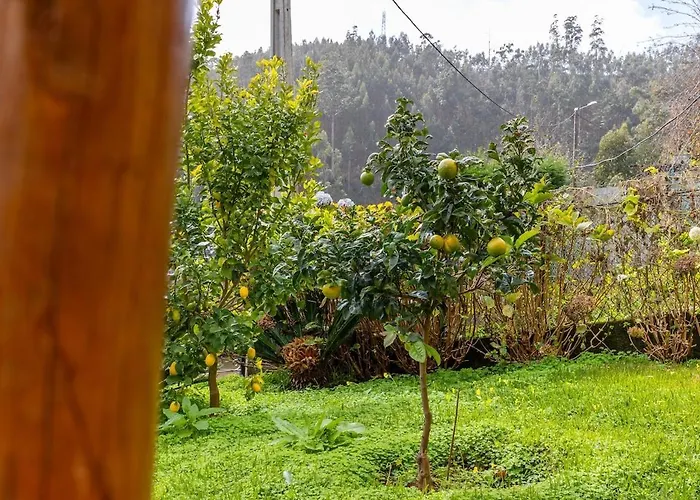 Recanto Do Pomar - Three Bedroom Dom wakacyjny *