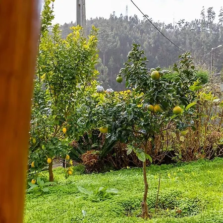 Recanto Do Pomar - Three Bedroom بيت للعطل *